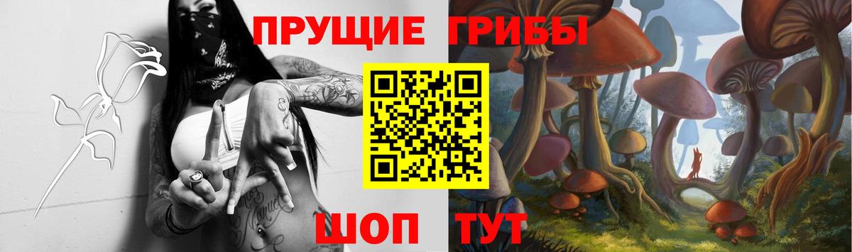 Галлюциногенные грибы мицелий  Вход с VPN  Якутск  Галлюциногенные грибы Psilocybine cubensis 